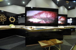 budipradono architects