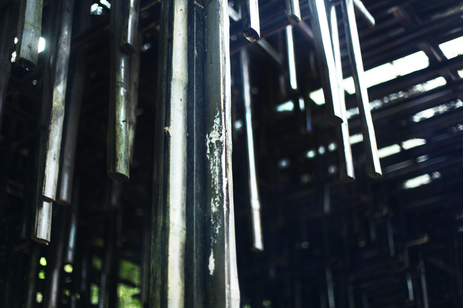 budipradono architects