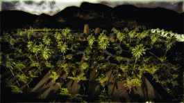 budipradono architects